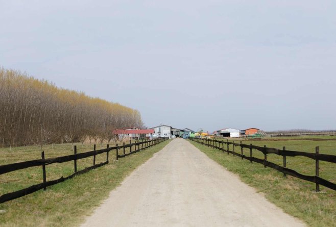 O fermă din Odoreu arată cum tehnologia poate schimba  viața din zootehnie