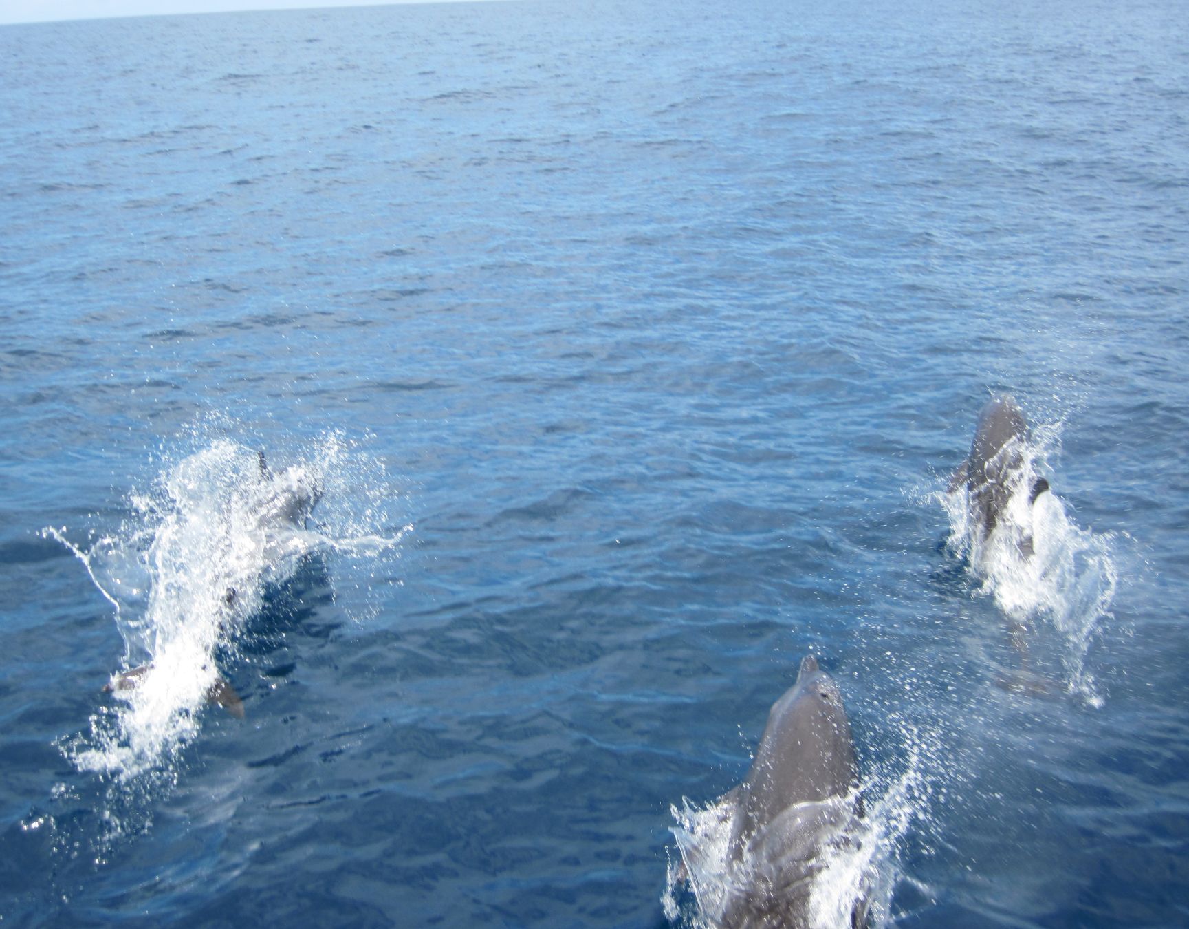 Calatorie in Costa Rica