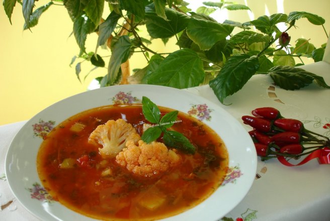 Ciorba de legume si conopida