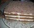 Tiramisu reţetă adaptata-1