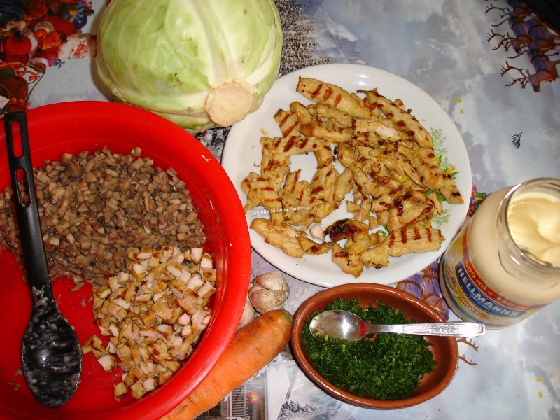 Salata de legume si piept de pui