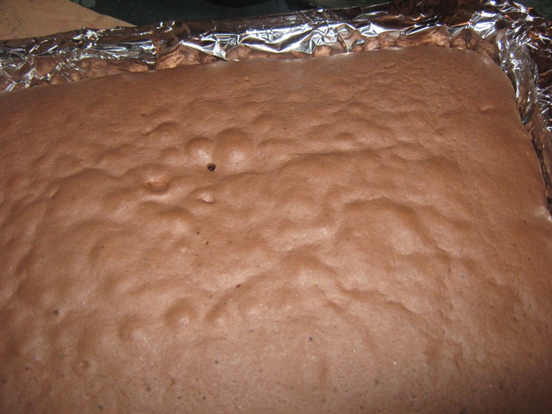 Tort cu mousse de ciocolata