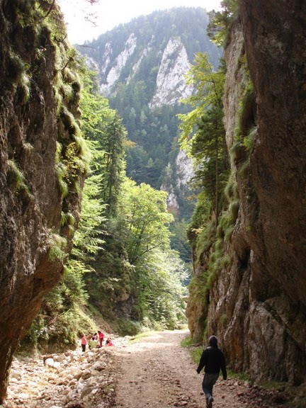 Sat Magura, o zona virgina