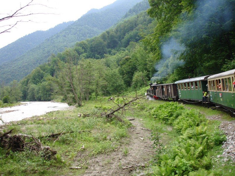 Cu mocanita pe Valea Vaserului