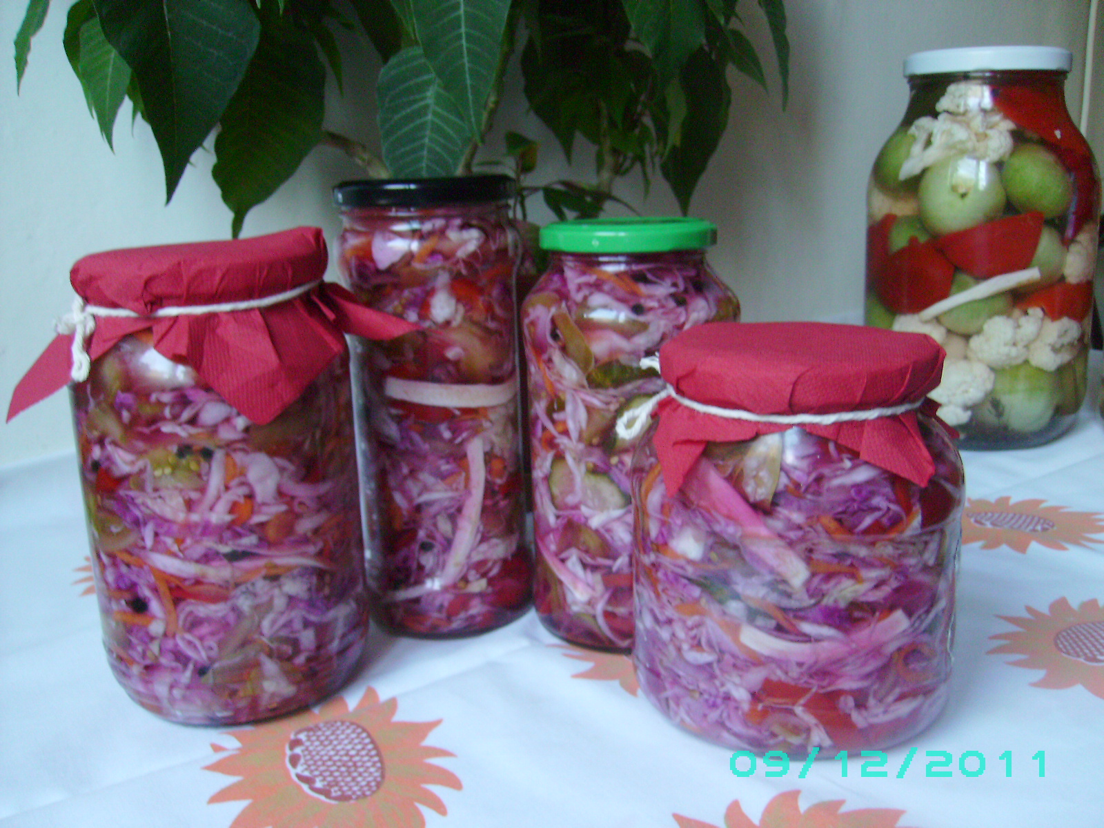 Salata Pickles