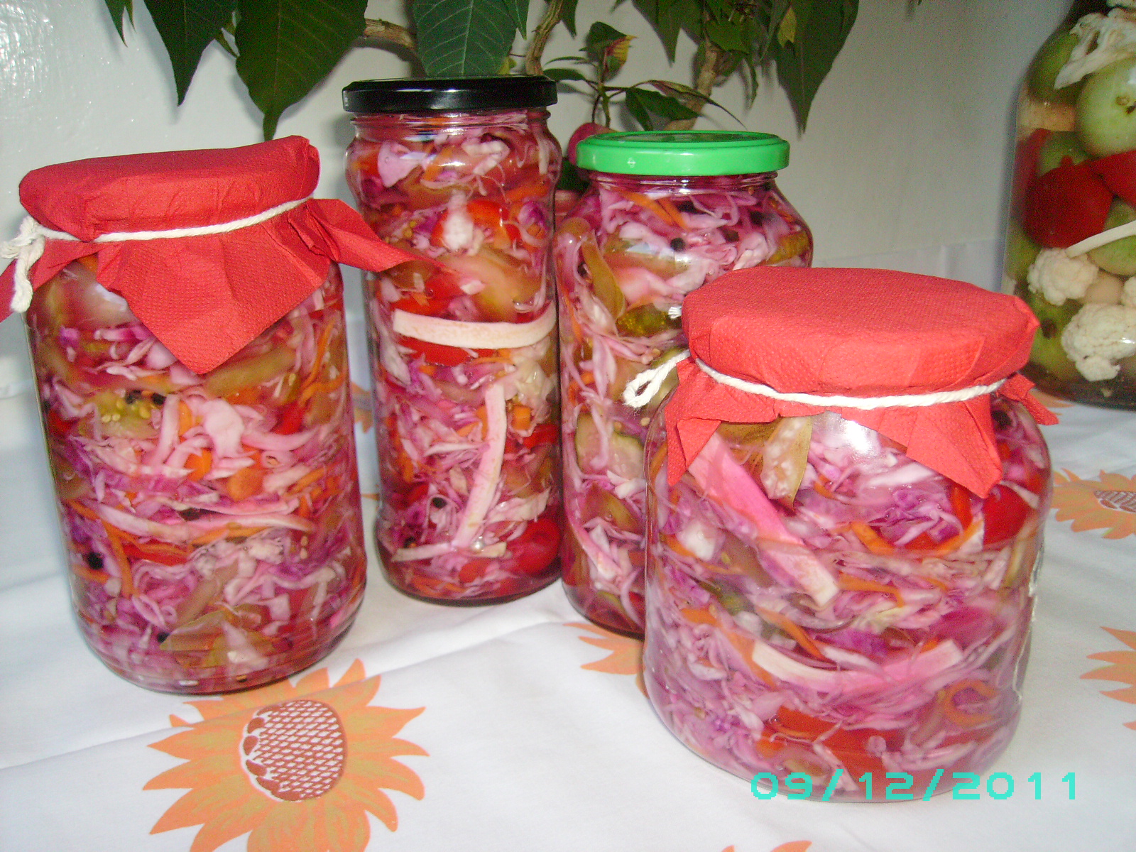 Salata Pickles