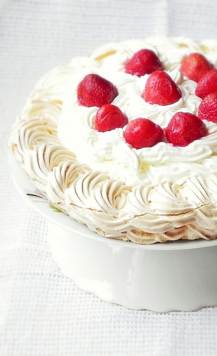 Pavlova