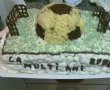 Tort teren de fotbal-0