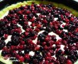 Cheesecake cu fructe de padure-2