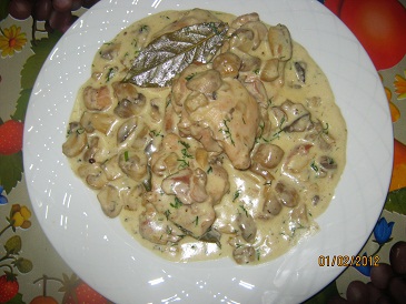 Pui cu smantana