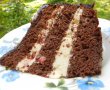 Tort cu fructe si  frosting de cacao-5