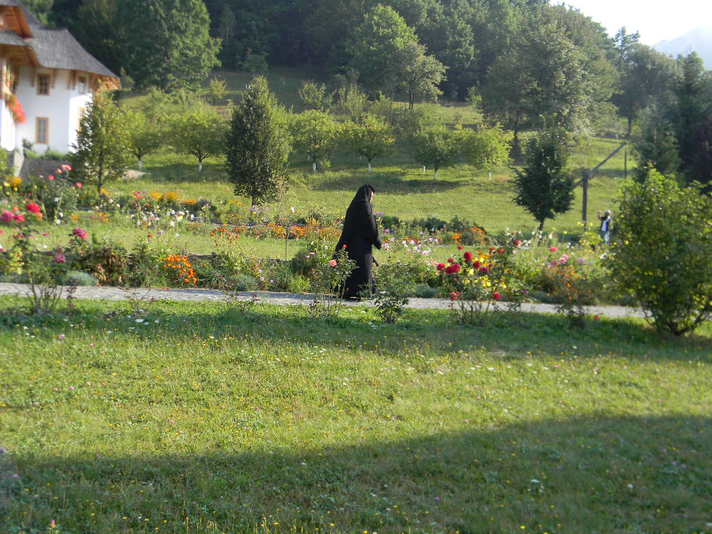 Maramures plai cu flori  - Manastirea Barsana