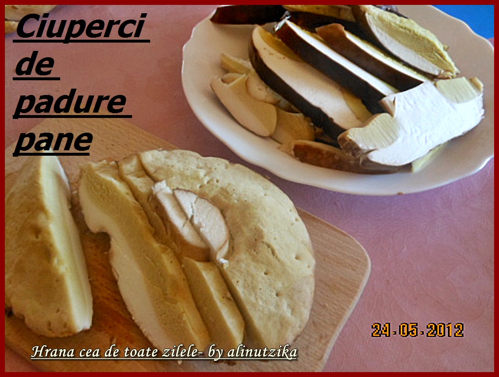 Ciuperci pane