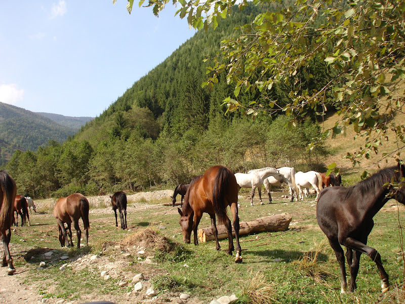 Traseu de munte in anul acesta