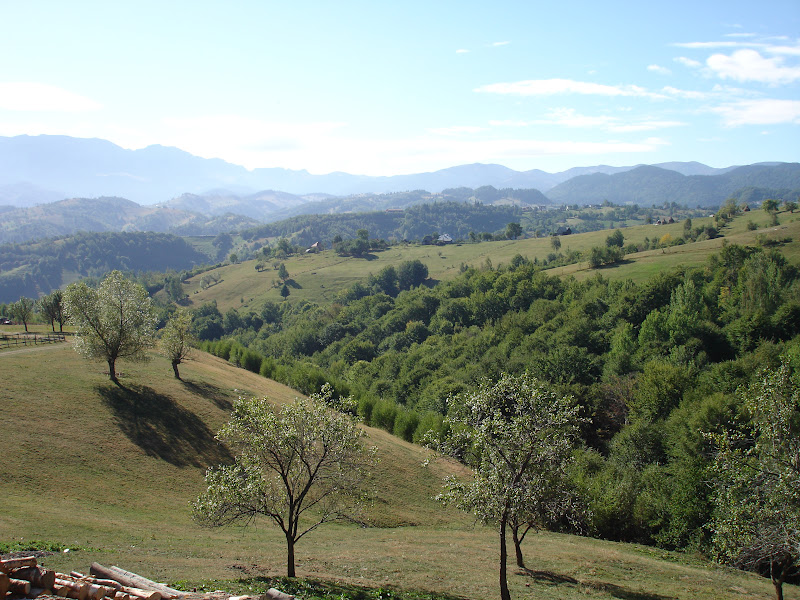 Traseu de munte in anul acesta