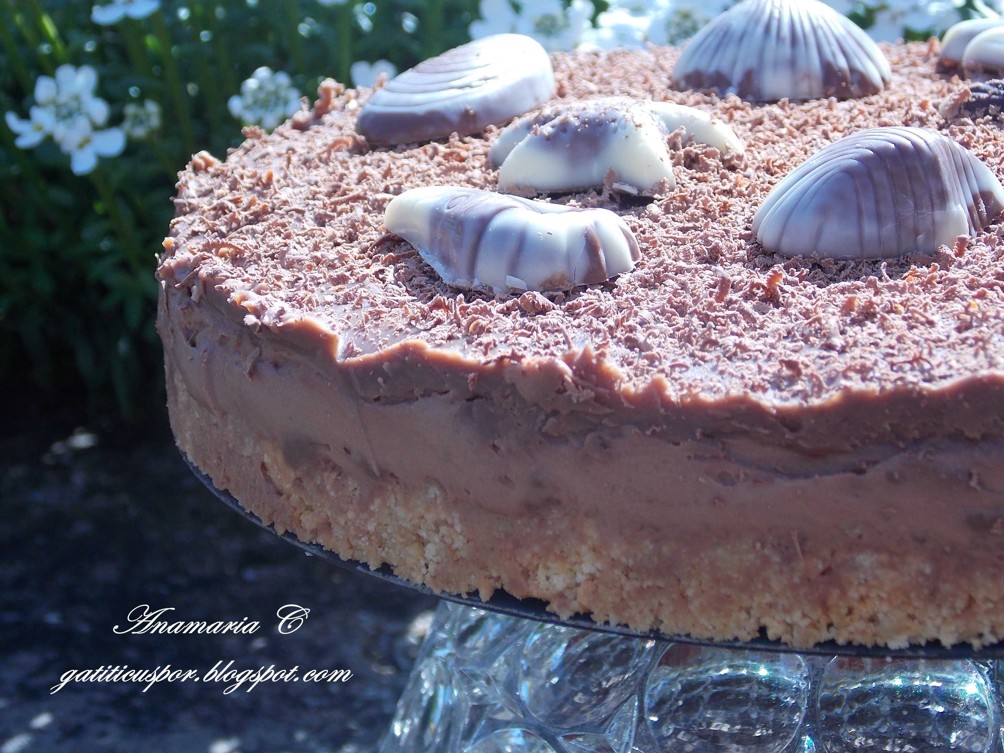 Cheesecake rapid cu ciocolata