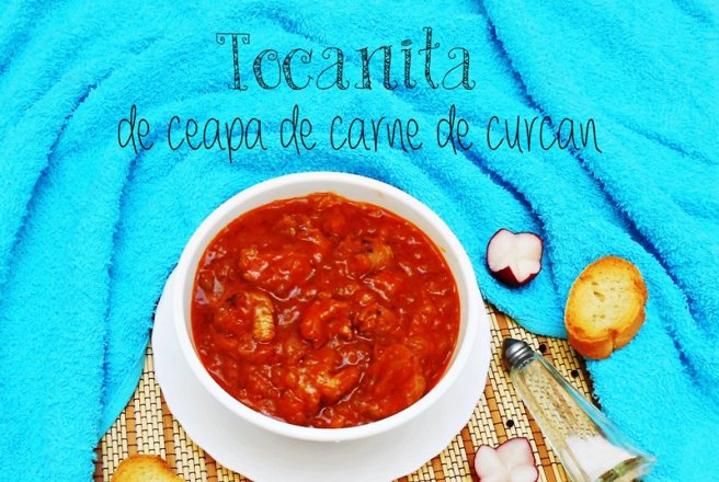 Tocanita de ceapa cu carne de curcan