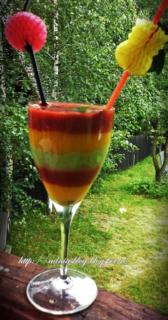 Smoothie de fructe Paradis