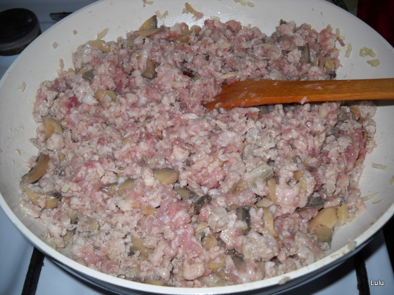 Paste cu carne - Furnici in copac