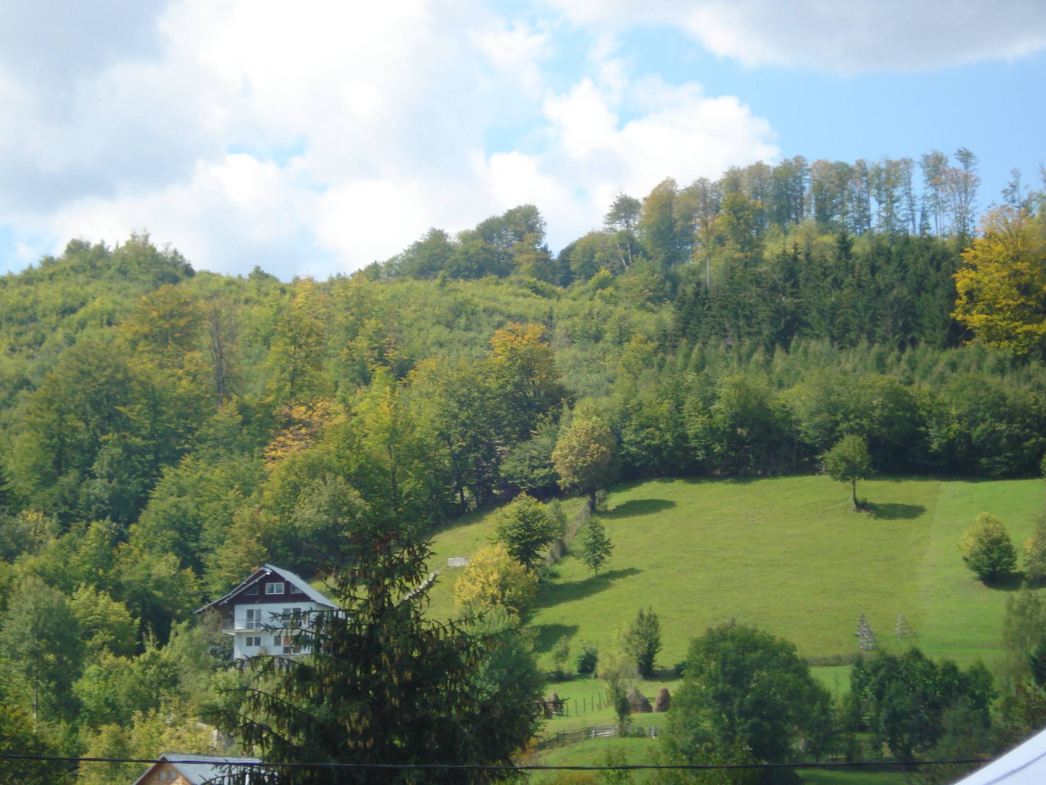 Festivalul cascavelei de la Valea Doftanei-Prahova