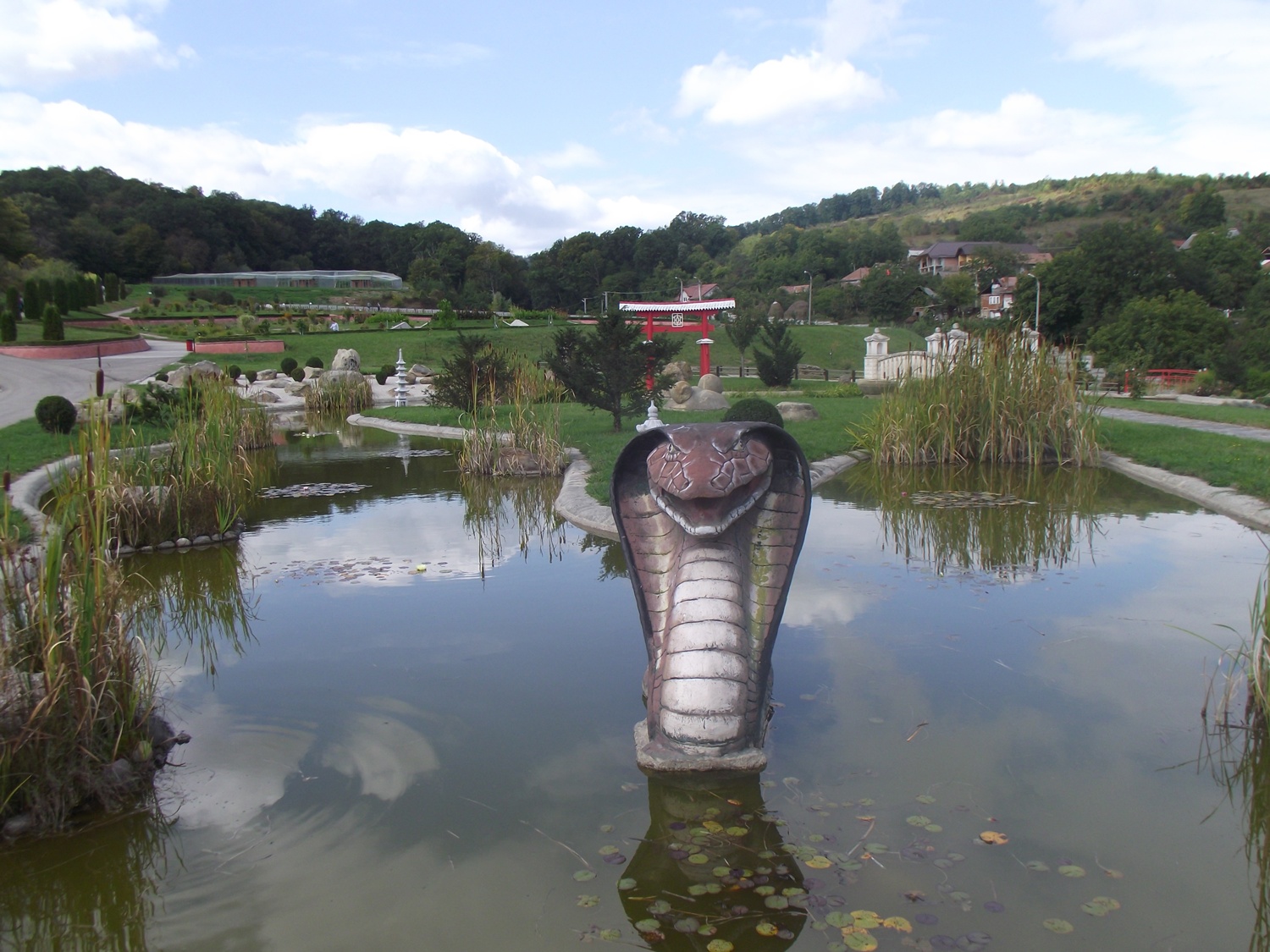 Bucătăraş hai –hui – Grădina Botanică „Vasile Fati” Jibou