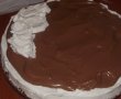 Tort de ciocolata si frisca-3