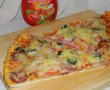 Pizza cu de toate (motaneasca)-22