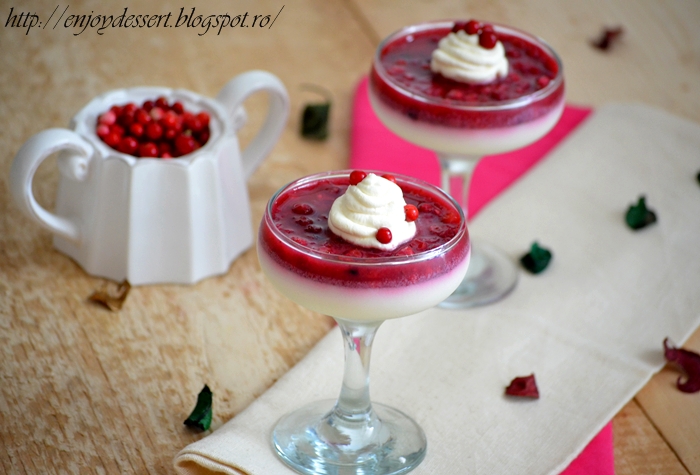 Panna cotta cu merisoare