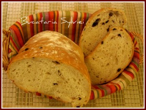 Ciabatta cu masline