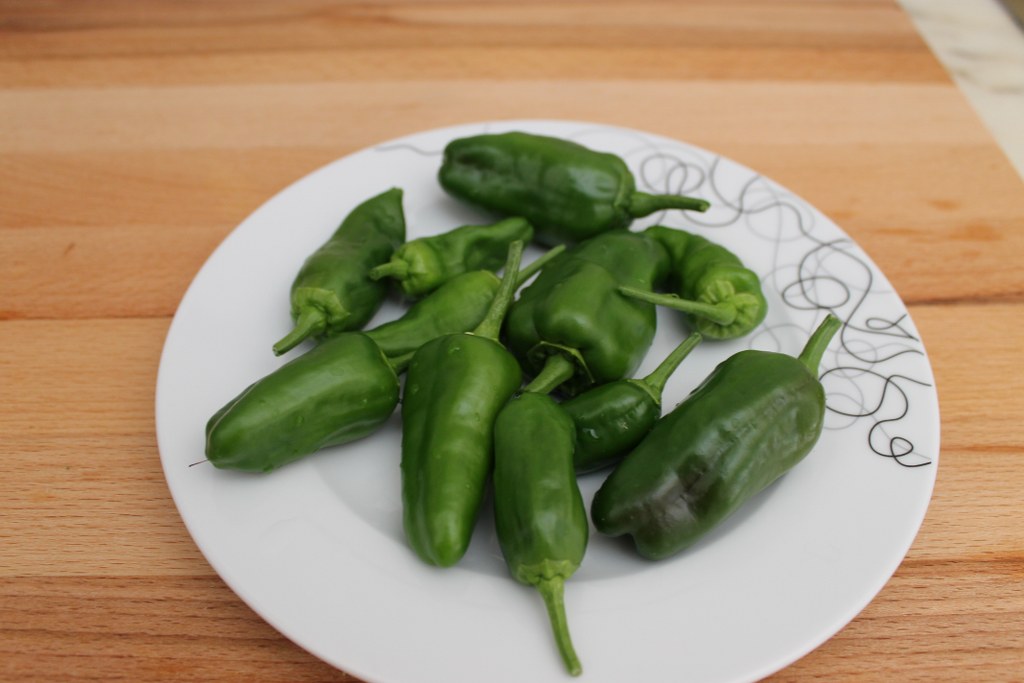 Pimentos de Padron