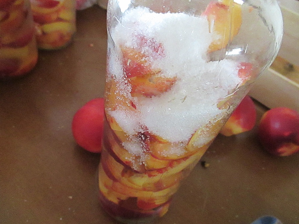 Compot de nectarine