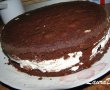 Tort cu blat de cacao si crema de ciocolata-5