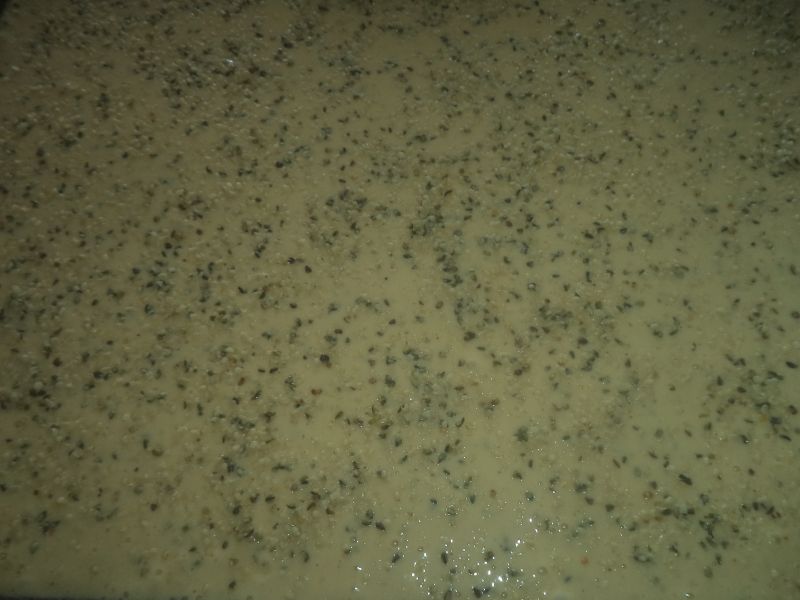 Prajitura cu fructe, crema de vanilie si frisca