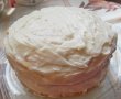 Tort cu crema de vanilie, visine si piersici-7