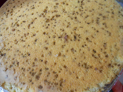 Tort cu crema de caise, fructe de padure si lamaie