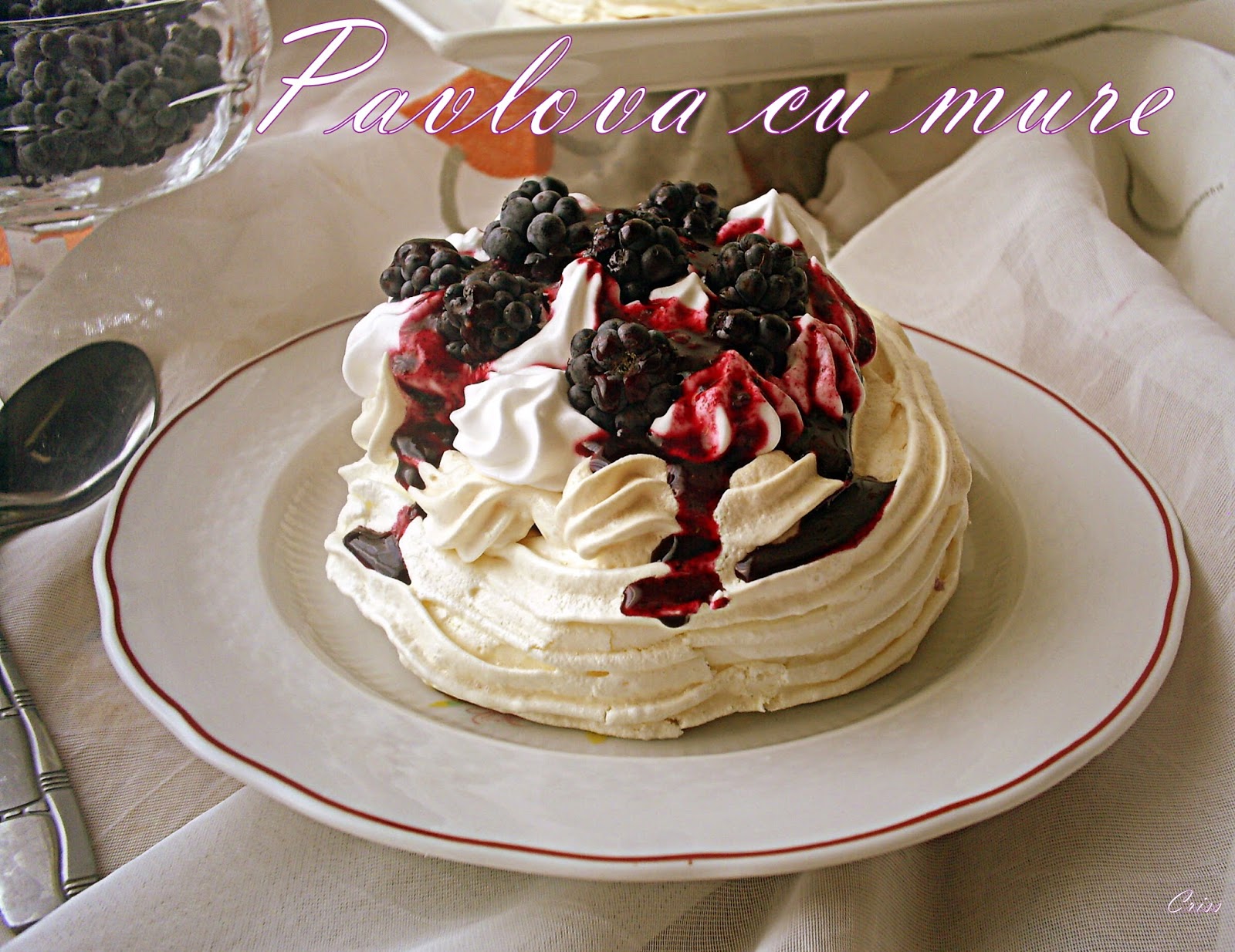 Pavlova cu mure