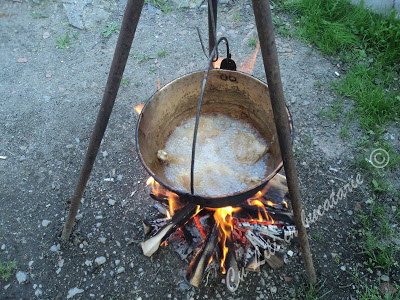 Tocanita de pulpe la ceaun