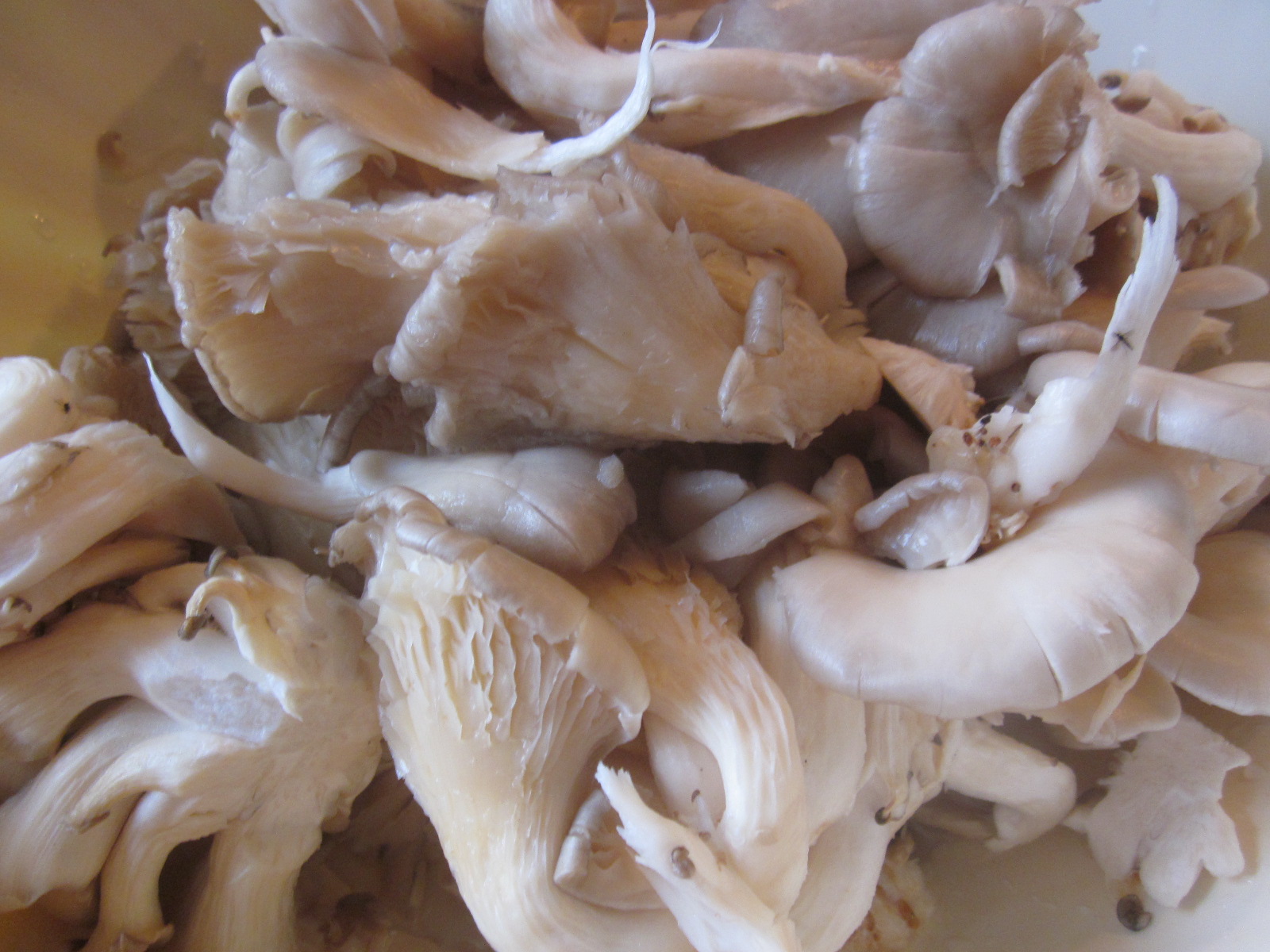 ZACUSCĂ CU CIUPERCI PLEUROTUS