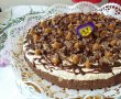 Cheesecake cu unt de arahide si ciocolata - Reteta nr. 500-12