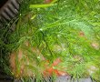 Somon gravlax-4