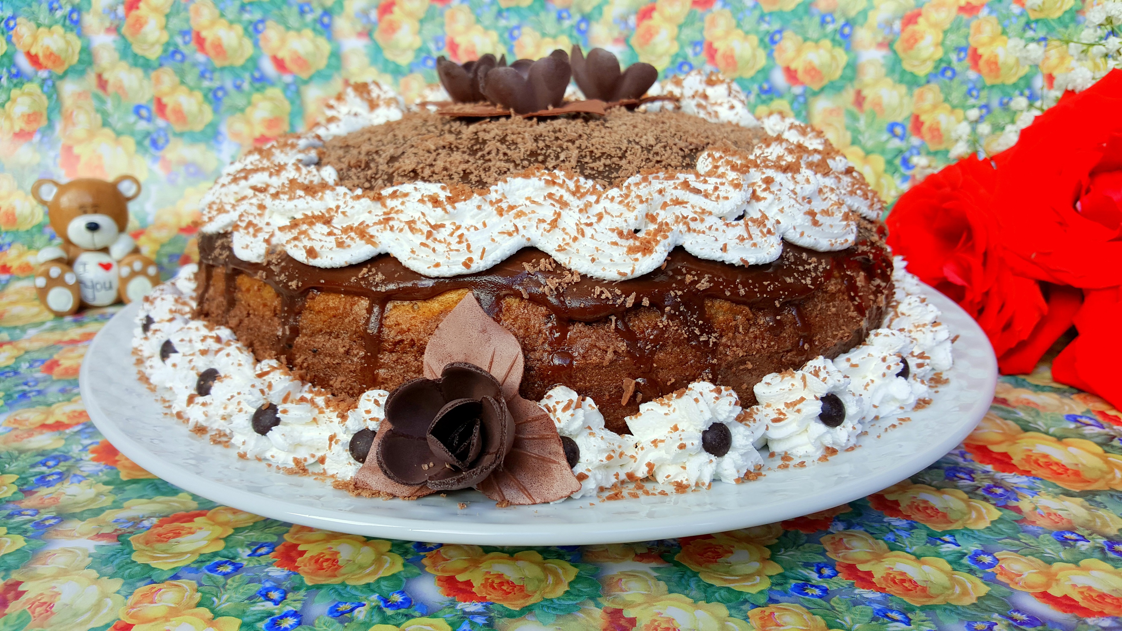 Desert tort amandina