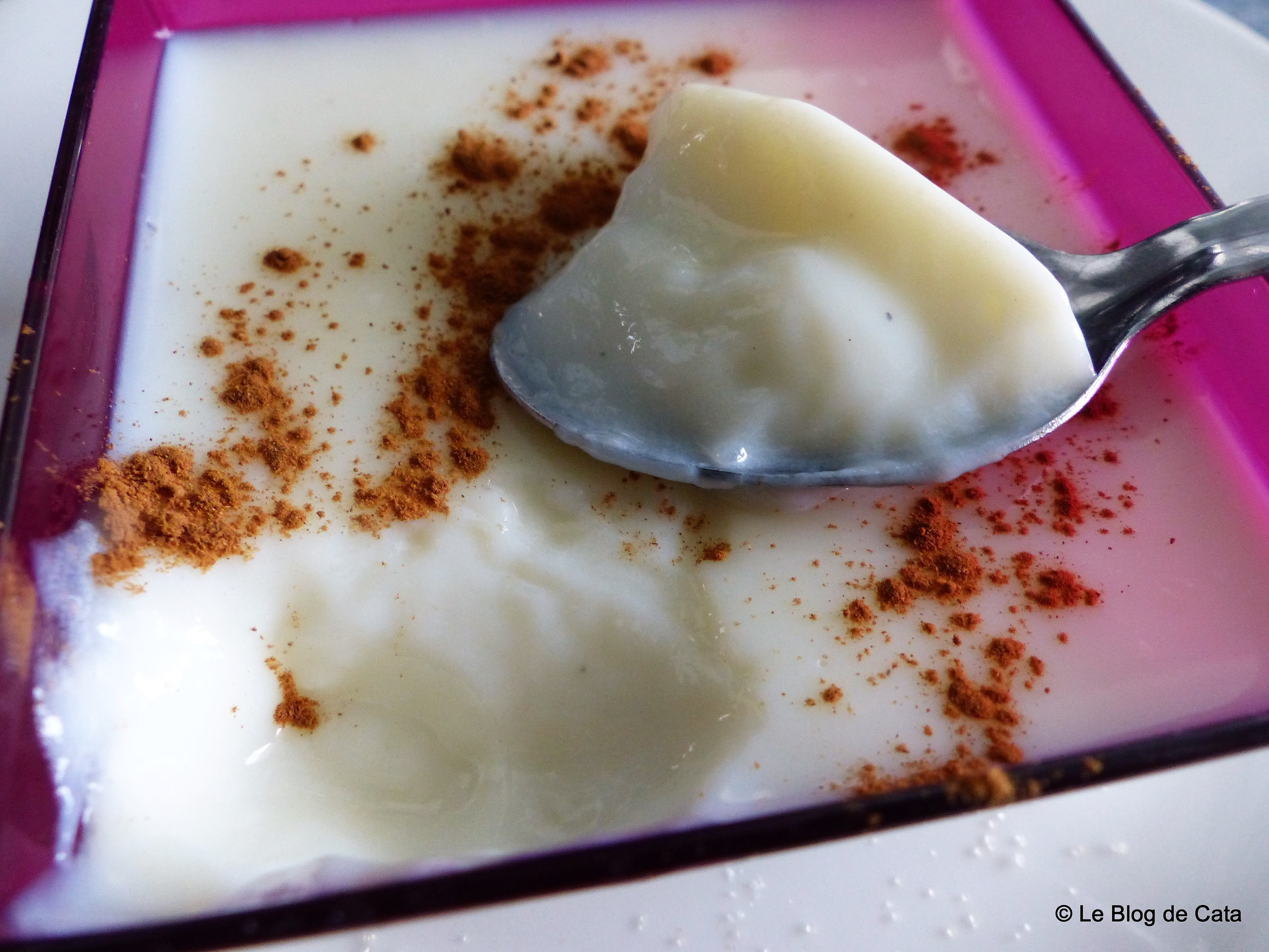 Crema de lapte - Paraguay (Crema de leche y maizena)