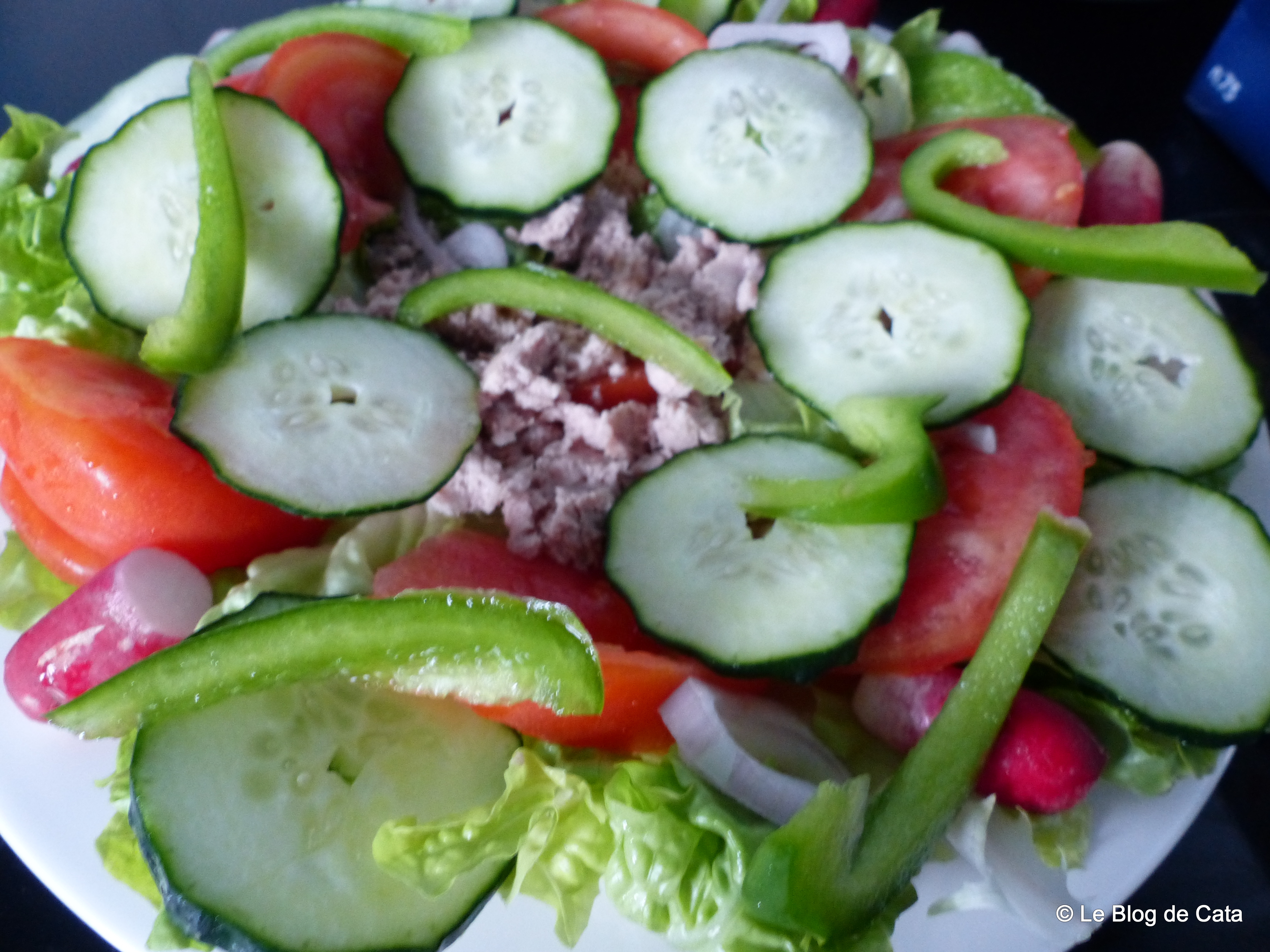 Salata Niçoise