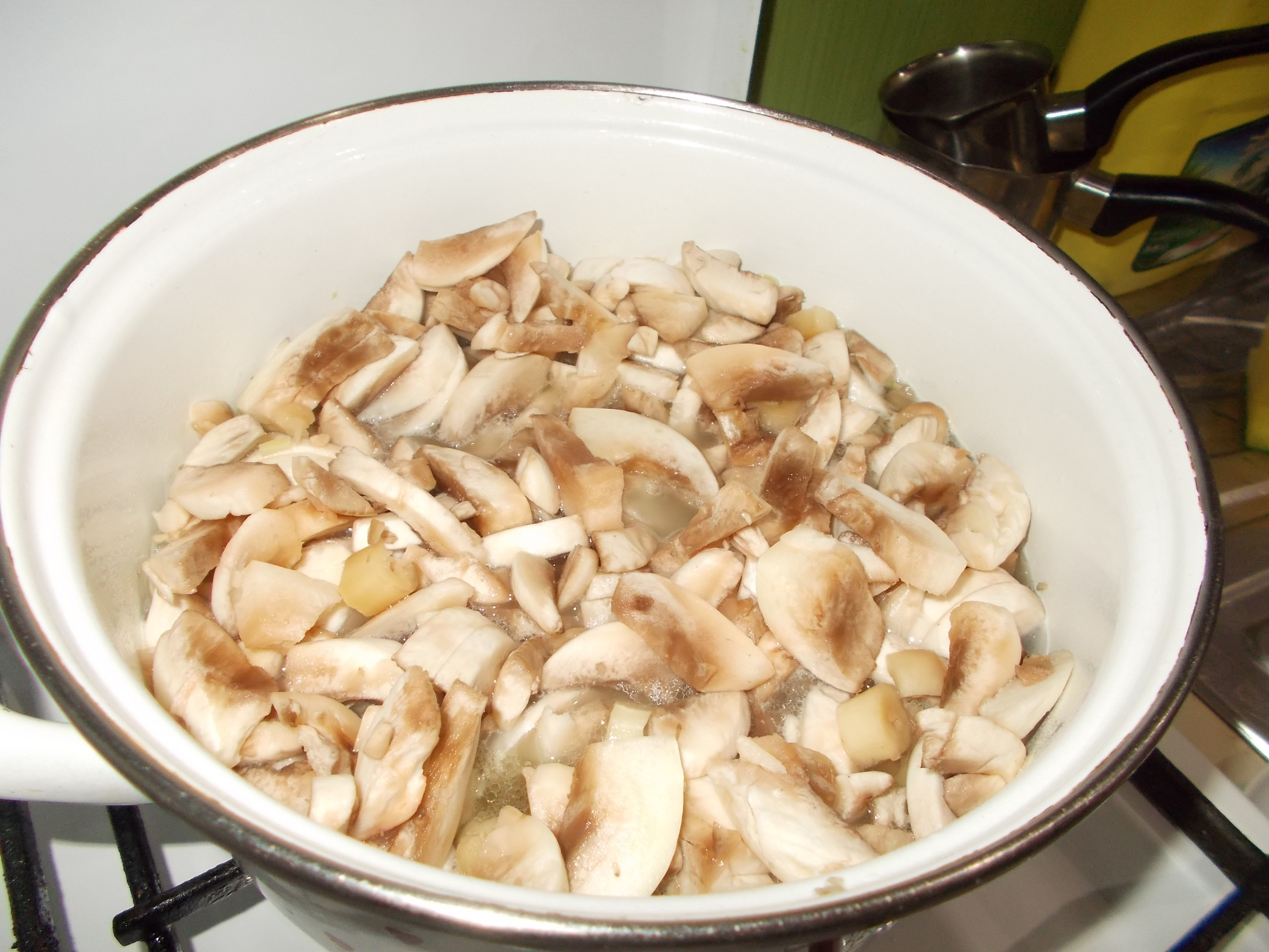 Tocanita de champignons cu piure de cartofi