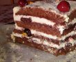 Desert tort Foret Noire-2