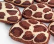 Desert biscuiti Leopard-15