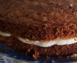 Desert carrot cake-9