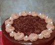 Desert tort amandina-15