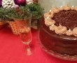 Desert tort amandina-20