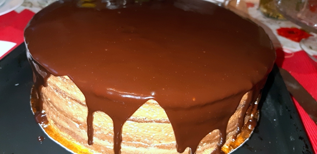 Desert tort amandina